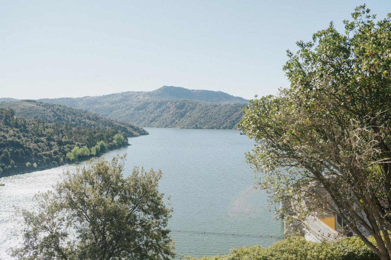 Casa Das Arribas - Rio Douro Aos Seus Pes Pensionat Bemposta  Eksteriør billede