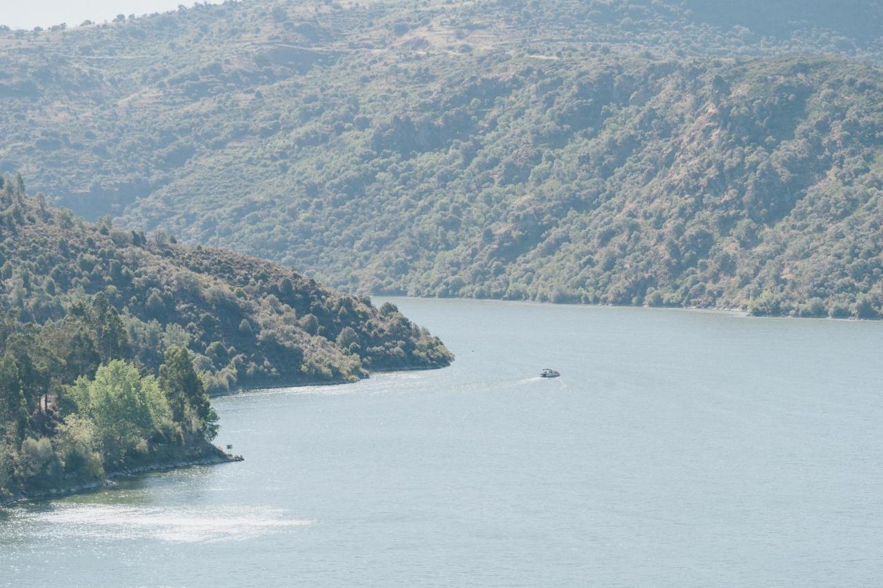 Casa Das Arribas - Rio Douro Aos Seus Pes Pensionat Bemposta  Eksteriør billede