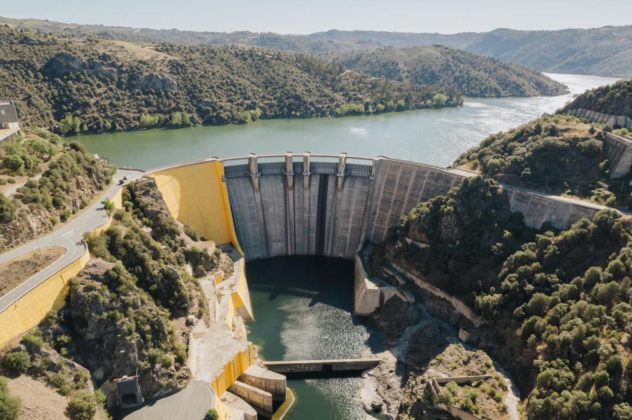 Casa Das Arribas - Rio Douro Aos Seus Pes Pensionat Bemposta  Eksteriør billede