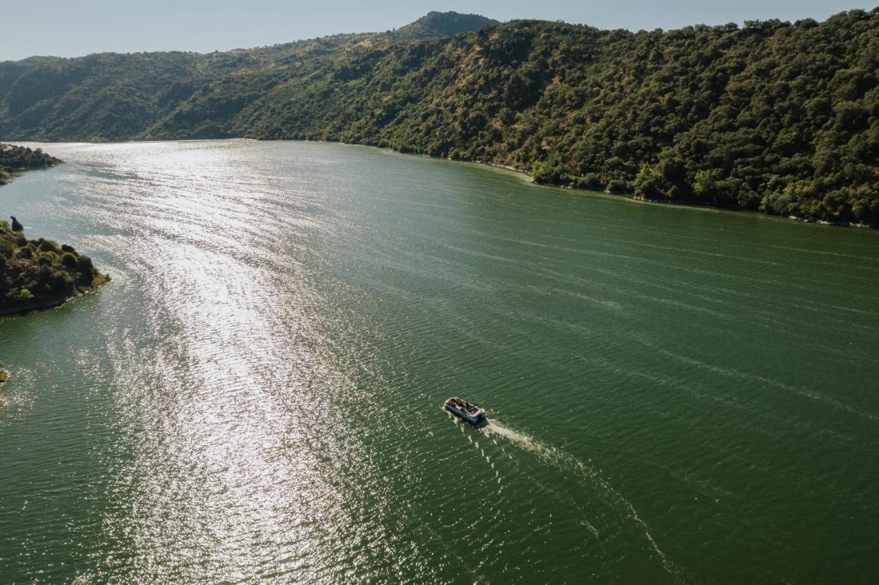Casa Das Arribas - Rio Douro Aos Seus Pes Bemposta  Eksteriør billede