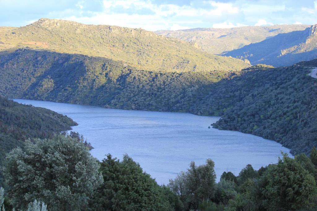 Casa Das Arribas - Rio Douro Aos Seus Pes Pensionat Bemposta  Eksteriør billede